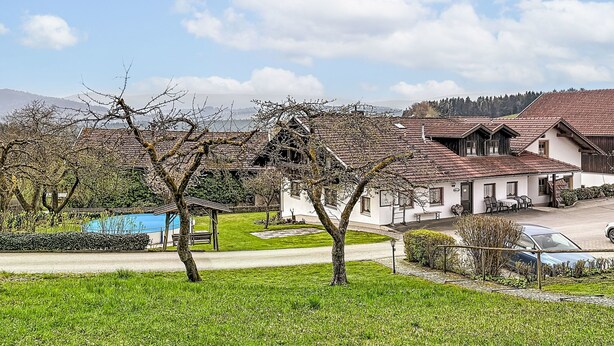 A residential area with houses, a clear sky, and a grassy foreground. - Ferienhof Wolf by Interhome (Viechtach)