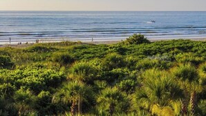 Ein Strand mit dichter grüner Vegetation im Vordergrund und einem ruhigen Meer im Hintergrund.
