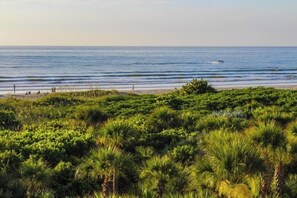 Ein Strand mit dichter grüner Vegetation im Vordergrund und einem ruhigen Meer im Hintergrund.