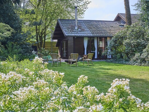 Cozy chalet in a forested area