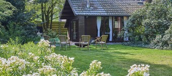 Cozy chalet in a forested area