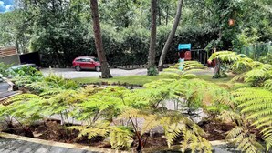 A garden with ferns, a red car, and a playground.