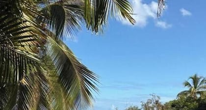 Cosy Cap Paradis 974 apartment 8 minutes from the lagoon. Ideal for a couple.