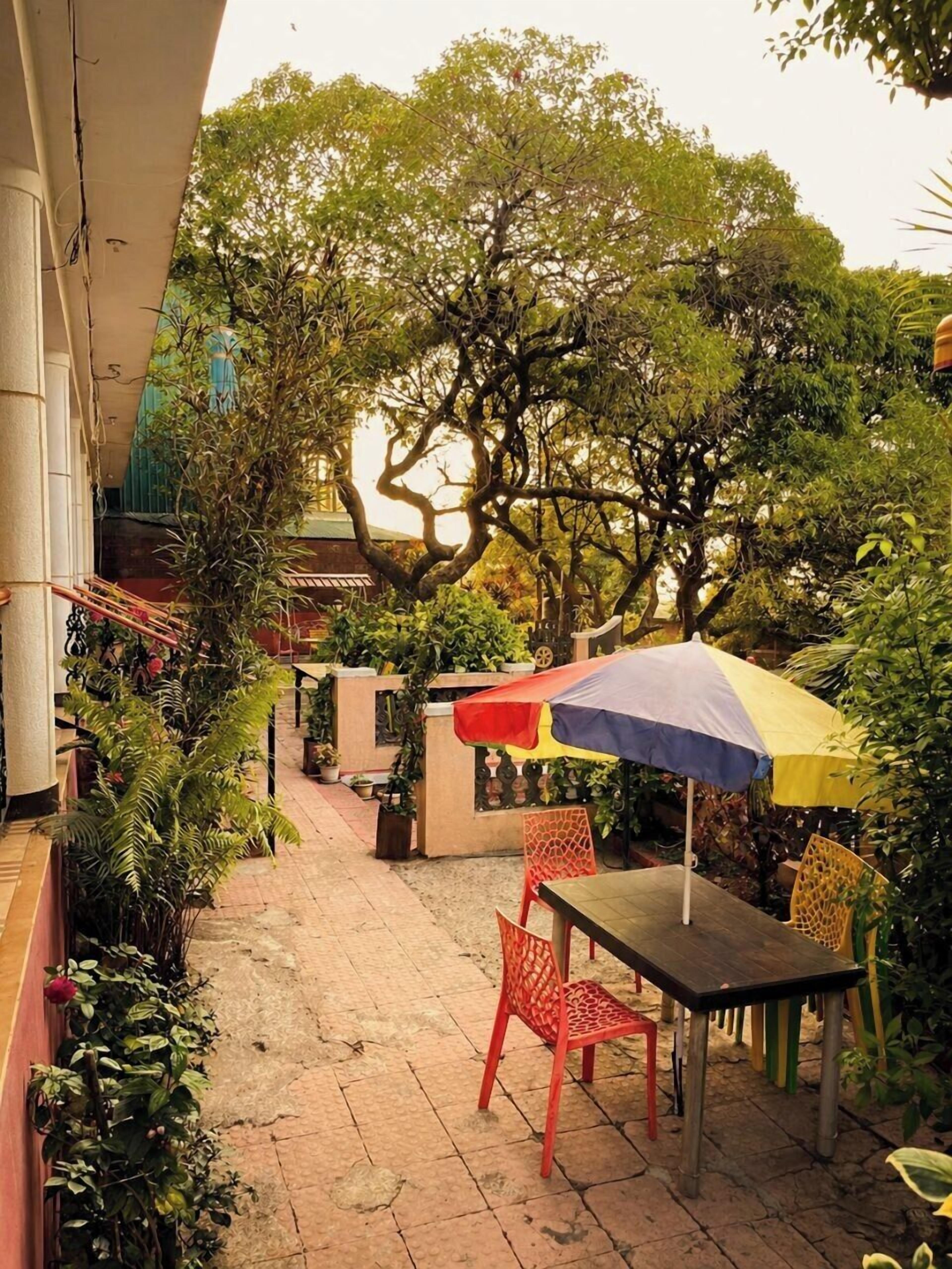 Un patio con una mesa y sillas, rodeado de macetas con plantas y árboles.