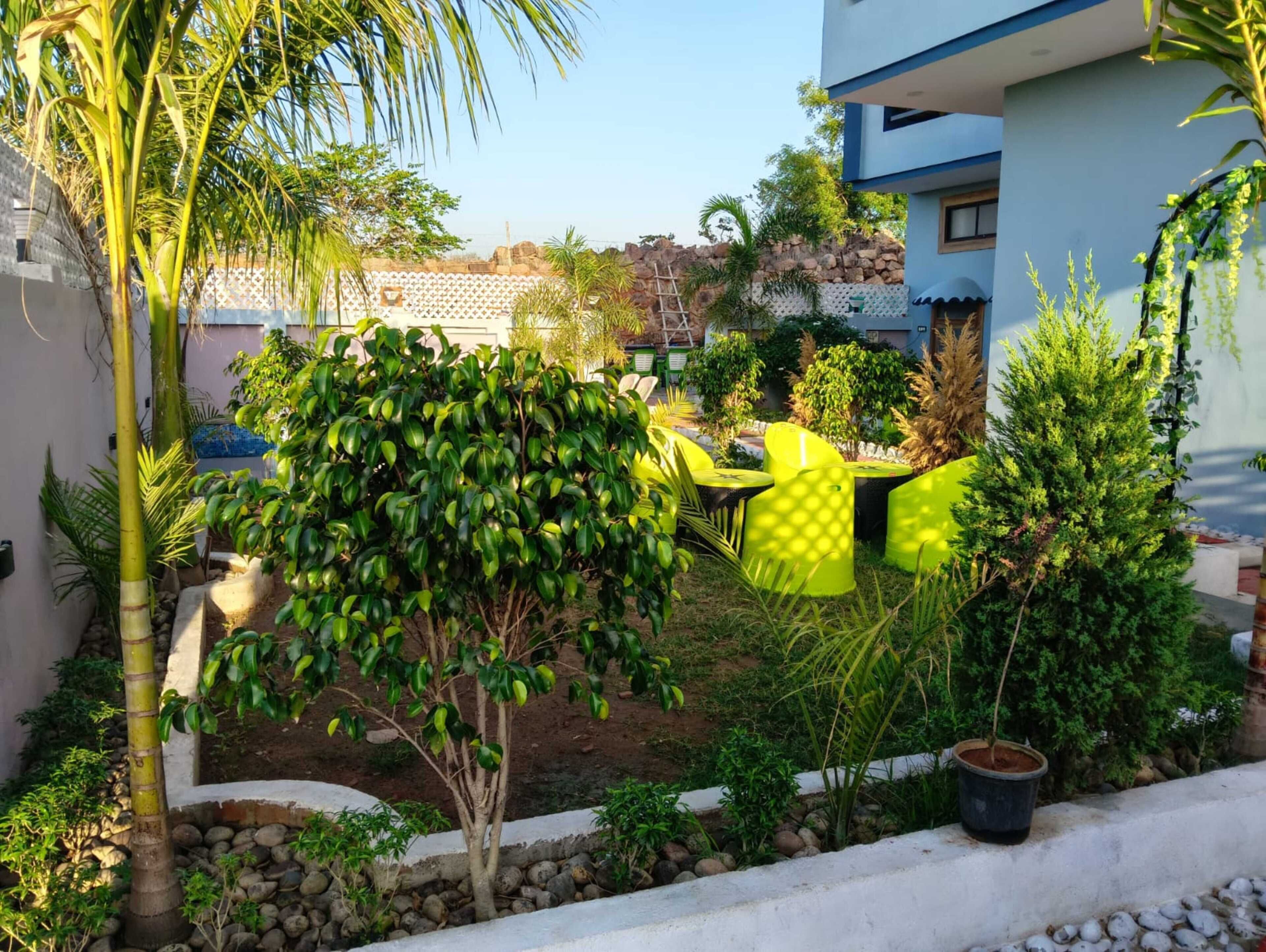 A courtyard with a palm tree, a hedge, and a blue building with a balcony.