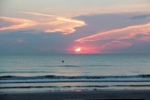 Ein Sonnenuntergang über einem ruhigen Meer mit einem einzelnen fliegenden Vogel.