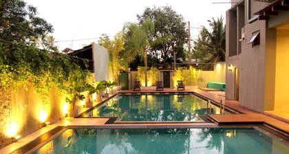 Morning Star Resort Pvt Ltd