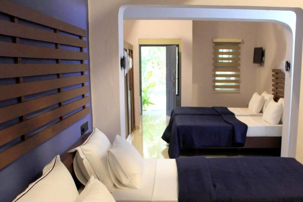 Una habitación de hotel con cama, sofá, escritorio y ventana con persianas.