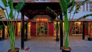 Un edificio con una entrada techada, plantas en macetas y una exhibición de artículos en su interior.