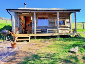 A rustic cabin with a porch, a grill, and potted plants.