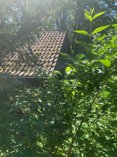 Chalet Hüttenzauber – Nature Retreat with Panoramic Views, Wi-Fi & Pet-Friendly