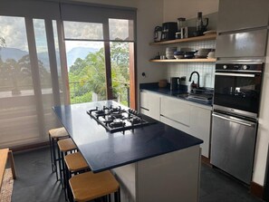 Eine moderne Küche mit einer zentralen Kochinsel, Edelstahlgeräten und Bergblick durch große Fenster.