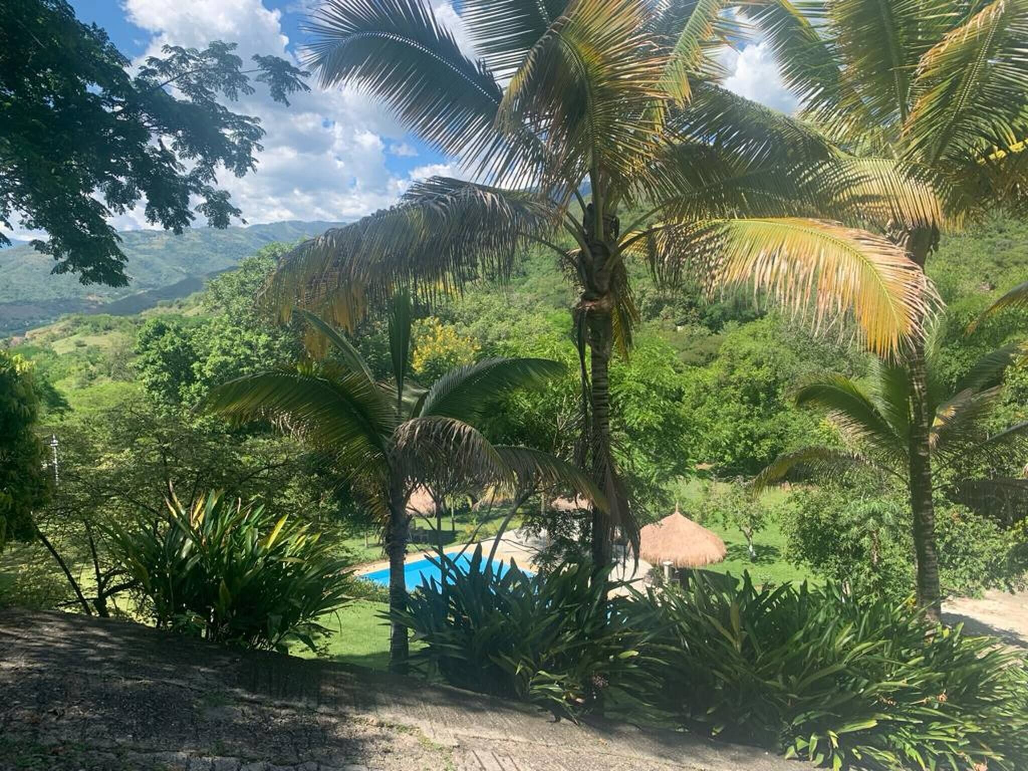 Área da propriedade