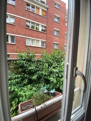 Une vue à travers une fenêtre d’un immeuble en briques à plusieurs étages, avec des balcons, une plante en pot et une poignée de porte.