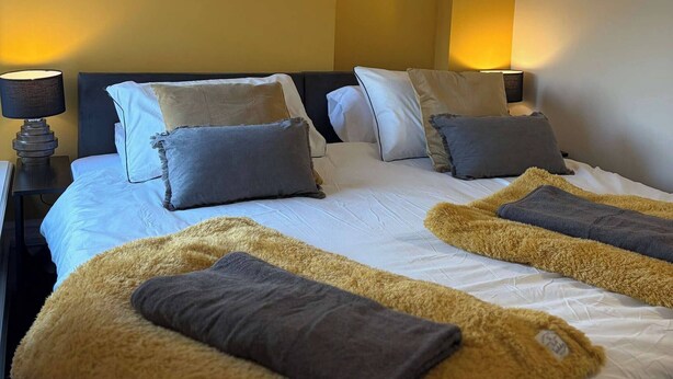 Une chambre d’hôtel avec un lit, des lampes de chevet et une étagère ornée de plantes.