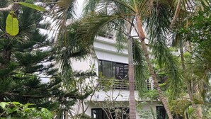 Un bâtiment moderne entouré d’une végétation tropicale luxuriante.
