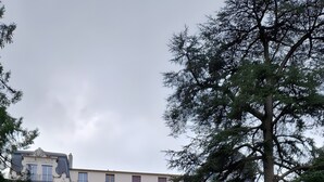 Ein mehrstöckiges Wohngebäude mit Balkonen, einer gepflasterten Auffahrt und einem großen Baum im Vordergrund.