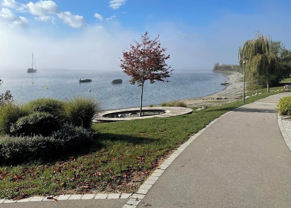 Ein Park am Wasser mit einem gepflasterten Weg, einem Rundgarten und einem Baum.
