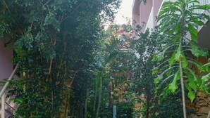 En smal gångbana av betong, omgiven av frodig grönska och stenmurar, leder fram till en byggnad med en rosa fasad.