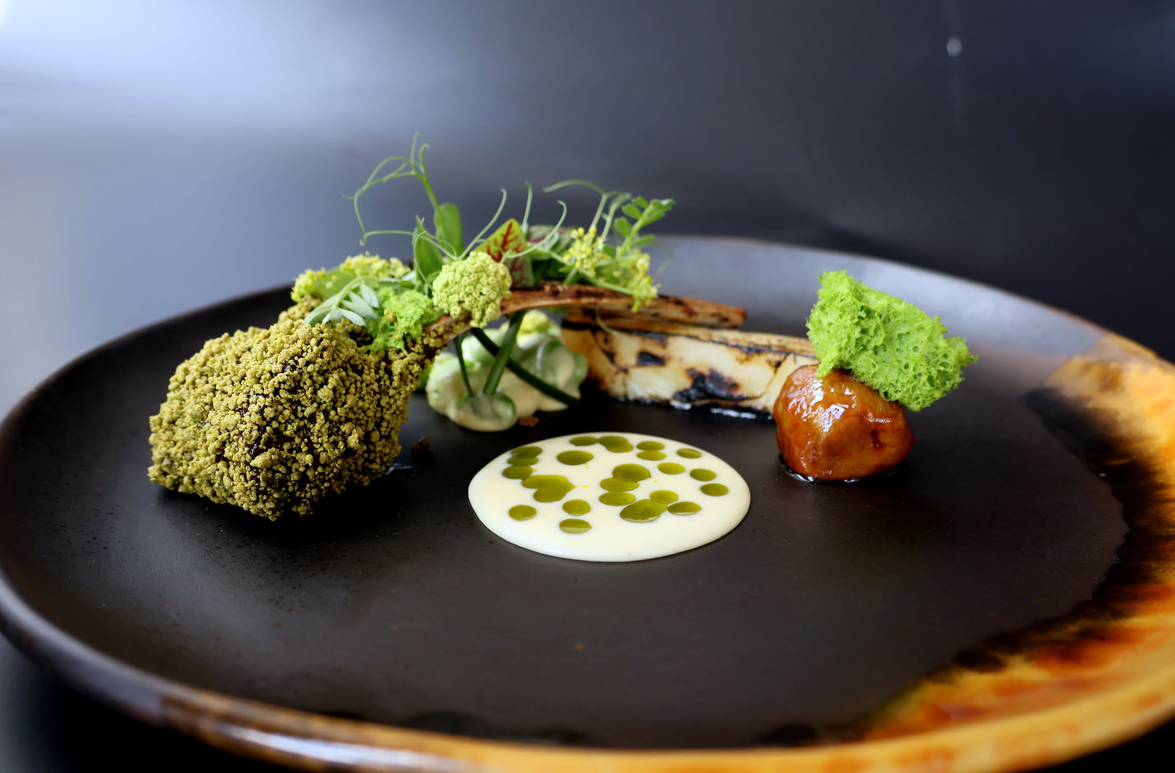 A plate with various food items, including a piece of grilled meat, a green vegetable, and a small dollop of sauce.