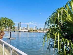Property grounds - The New Paradise Retreat (Surfers Paradise)