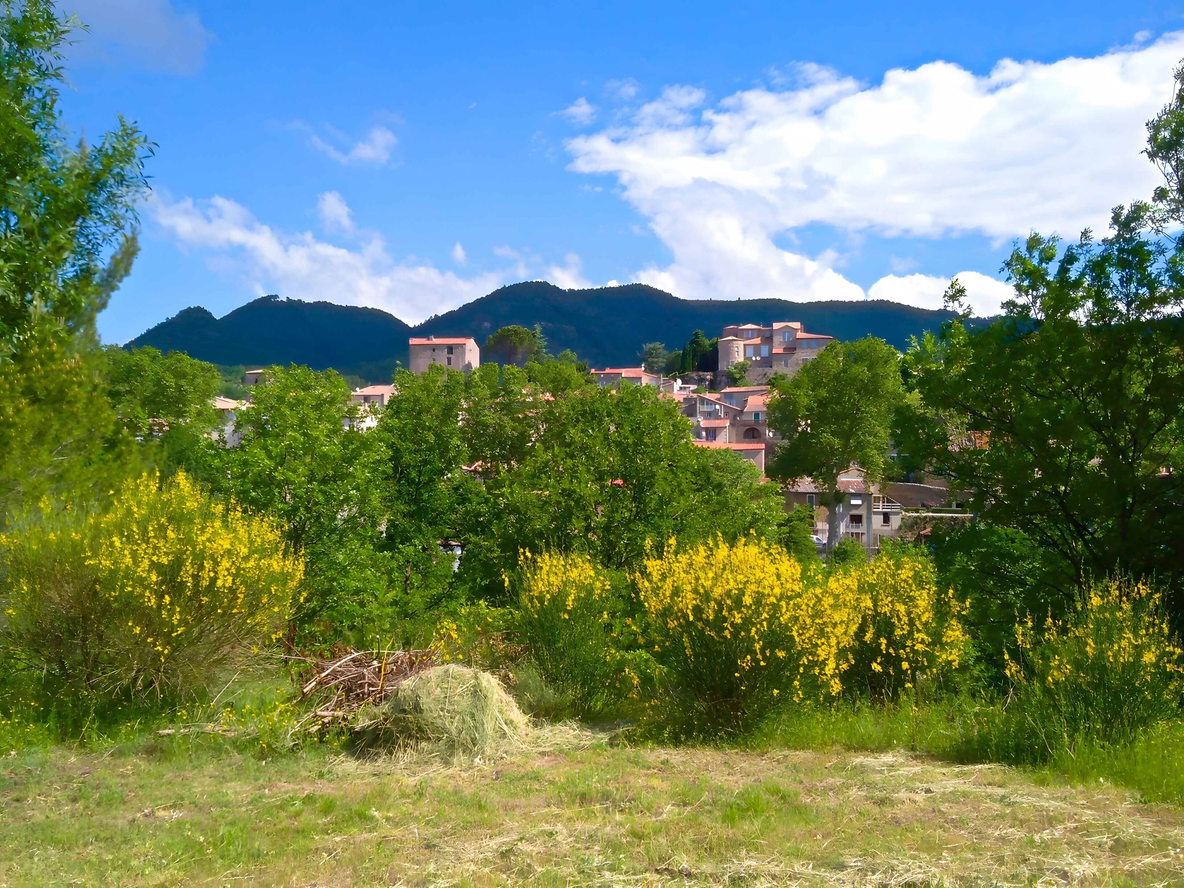 منوع