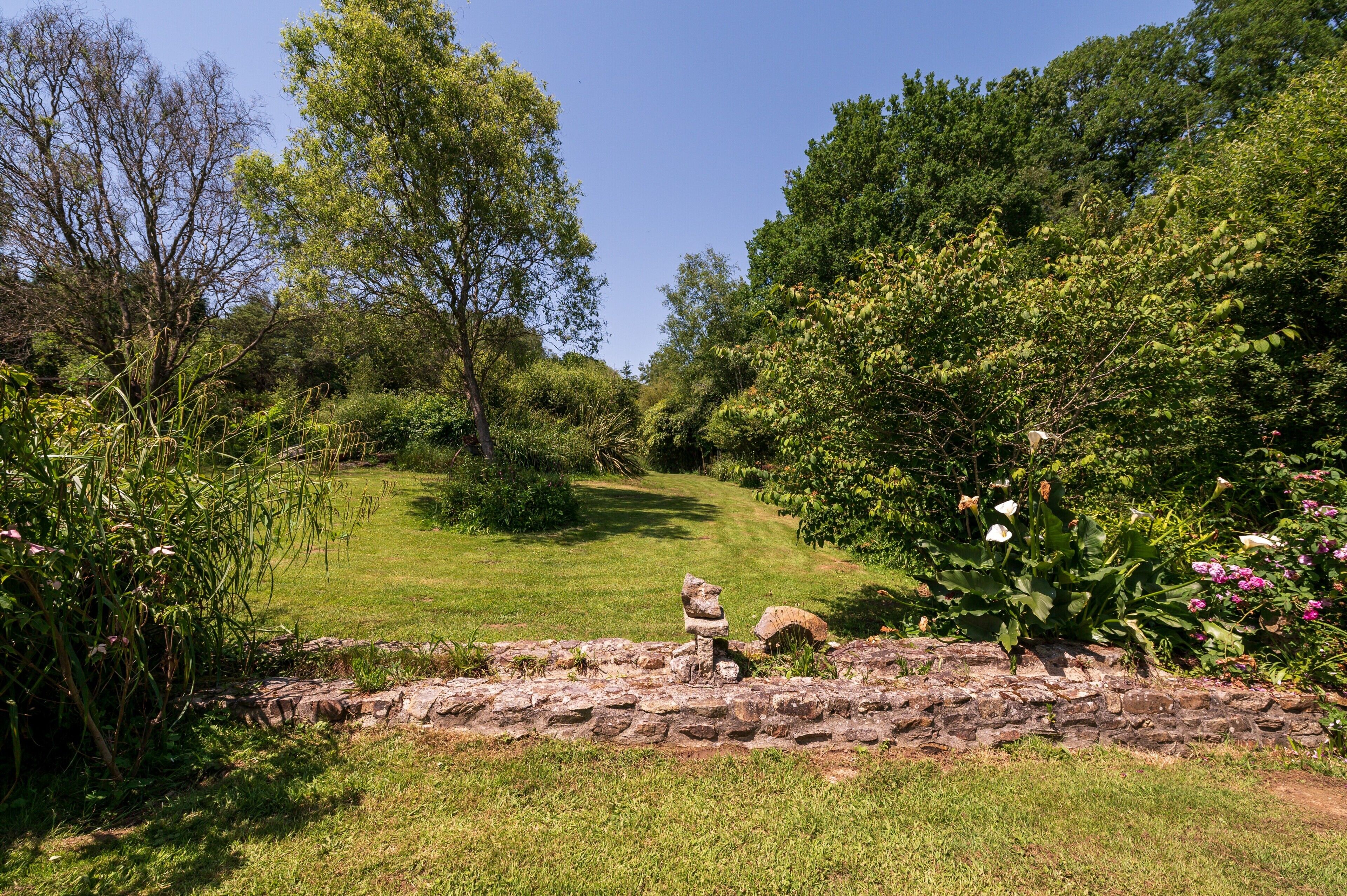 A stone pathway leading through a lush garden with various plants and trees.