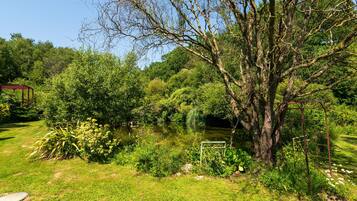 A lush garden with a pond, a tree, and a small shed.