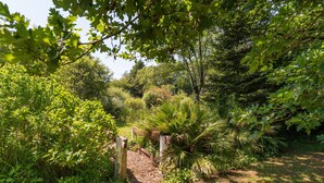 Ein Gartenweg mit verschiedenen Pflanzen und Bäumen.