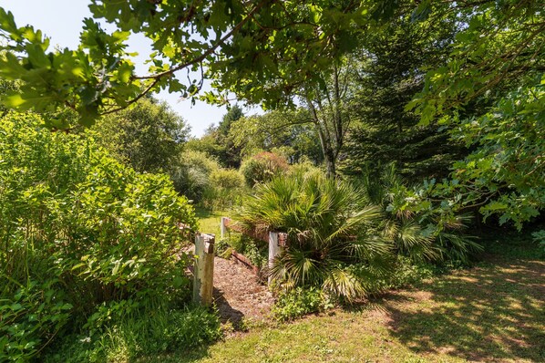 Un sentier de jardin bordé de différentes plantes et arbres.