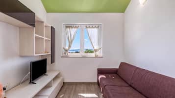 A room with a television on a stand, a sofa, a window with curtains, and a green ceiling.