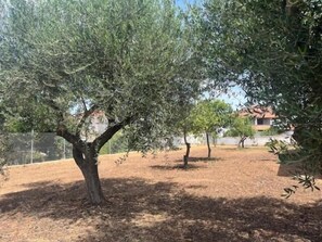 Miscellaneous - Casa Plati 1 & 2 - Private Pool & Garden Stay (Plati)