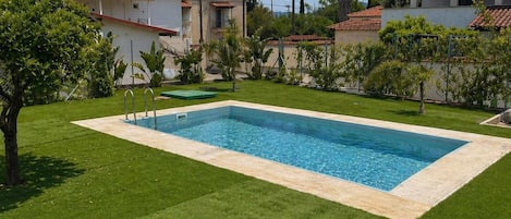 A rectangular swimming pool with a ladder, surrounded by well-maintained grass and palm trees, with houses in the background.
