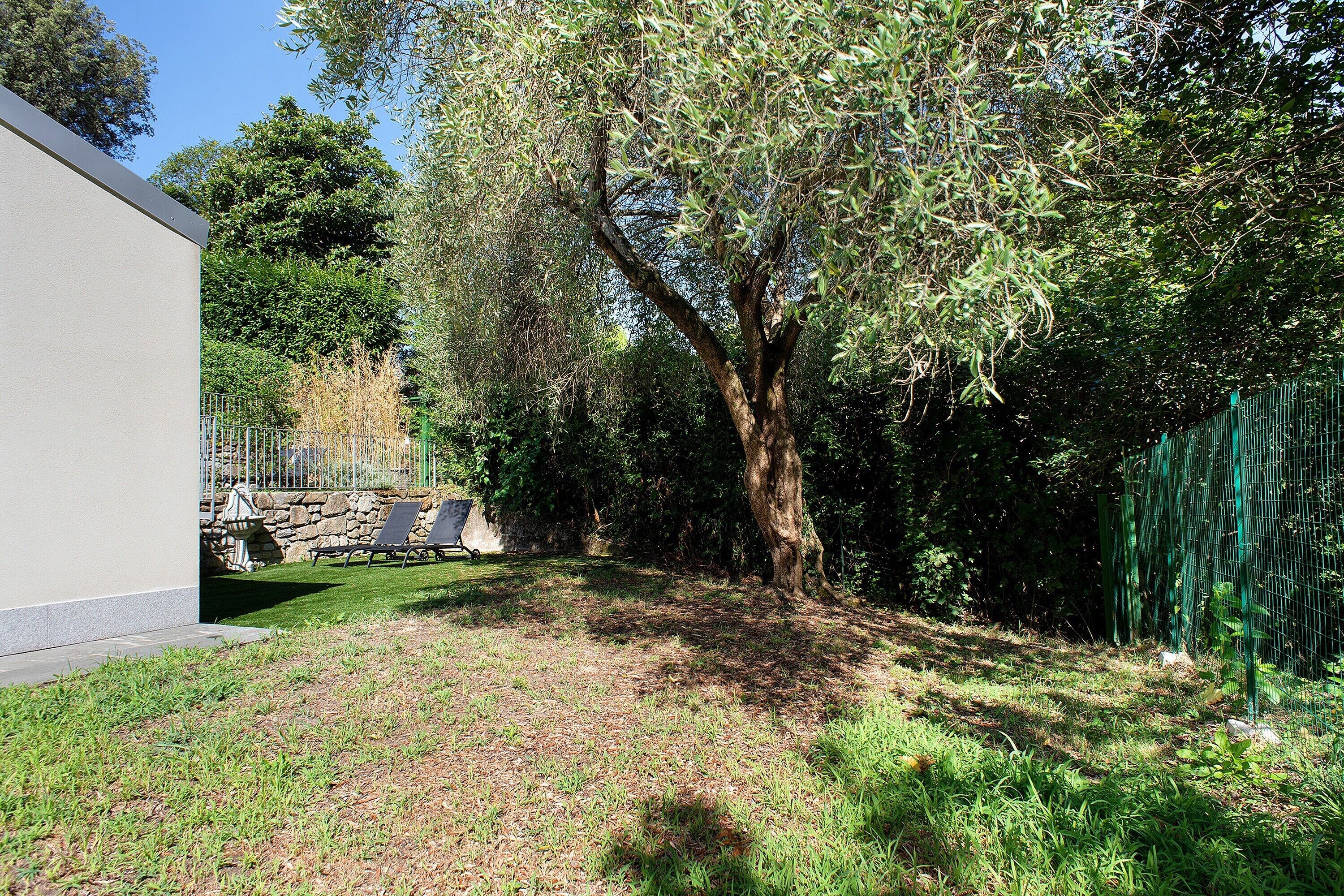 A backyard with a large tree, a stone wall, and a green fence.