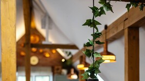 Un tavolo da pranzo in legno con sedie, una lampada a sospensione con edera e un punto luce fissato al muro.