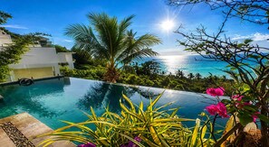 Ein Pool mit Meerblick, umgeben von Grün und einem modernen Gebäude.