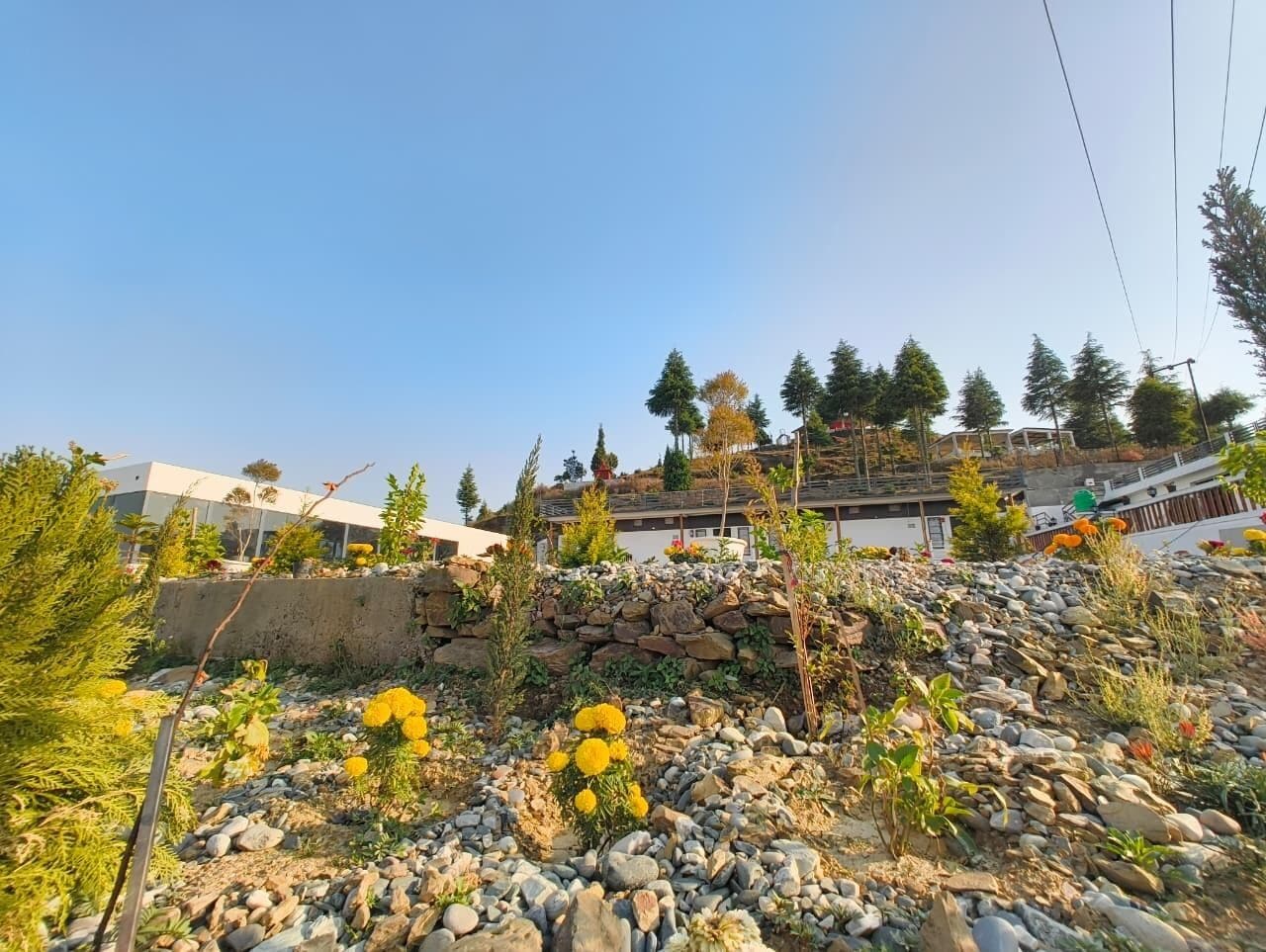 View from property