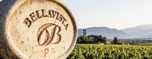 Winery