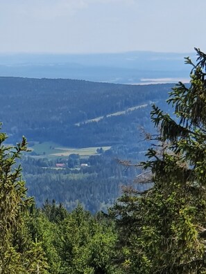 A mountainous landscape with dense forest and a distant view of a valley.