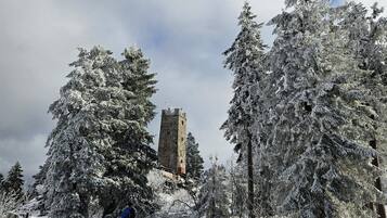 A snow-covered landscape with a tower and trees.