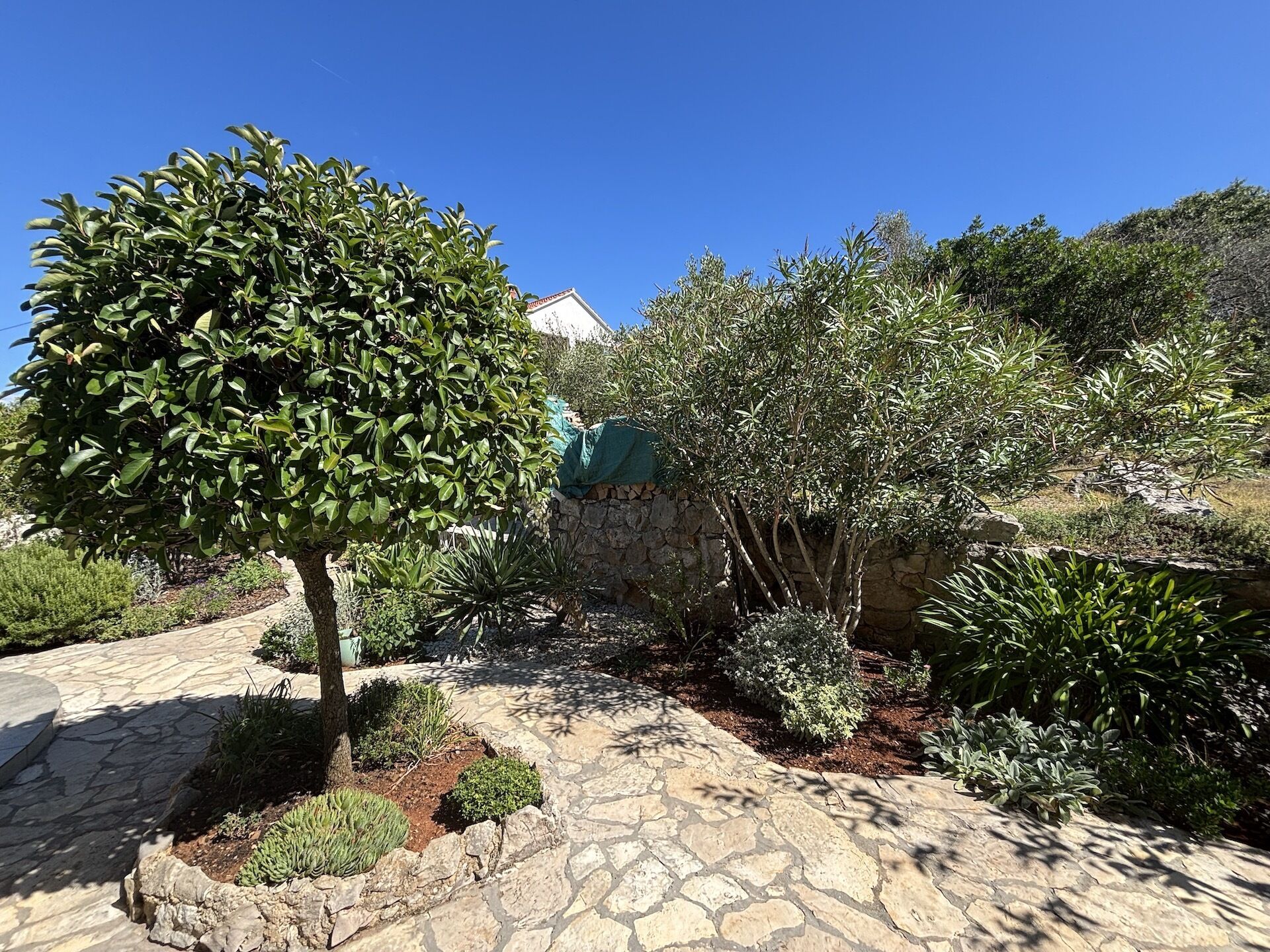 A stone pathway leading through a garden with various plants and a stone wall.