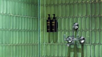 Shower, hair dryer, slippers, towels