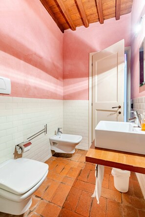 Douche, bidet, serviettes fournies, papier toilette