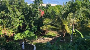 Un exuberante jardín con diversos árboles y un sendero de piedra.