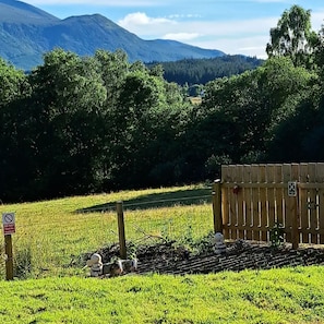 Property grounds - The Posh Bothy 2 near Roy Bridge (Fort William)