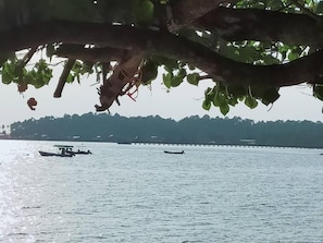 A calm body of water with boats, a dock, and a tree with leaves. - Eastique Hotel Koh Chang (Ko Chang)