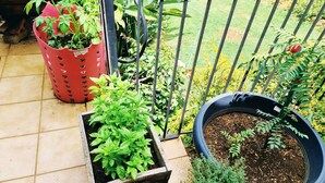 Un jardín con macetas, una maceta negra y una valla de metal.