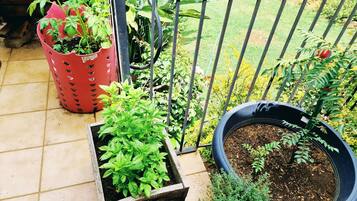 House, 3 Bedrooms | Balcony