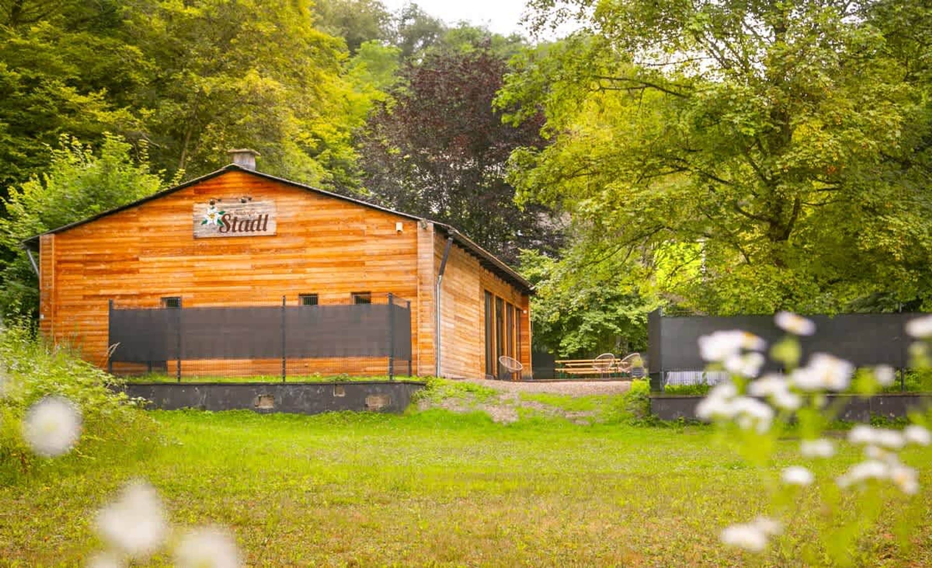 House | 4 bedrooms, Internet