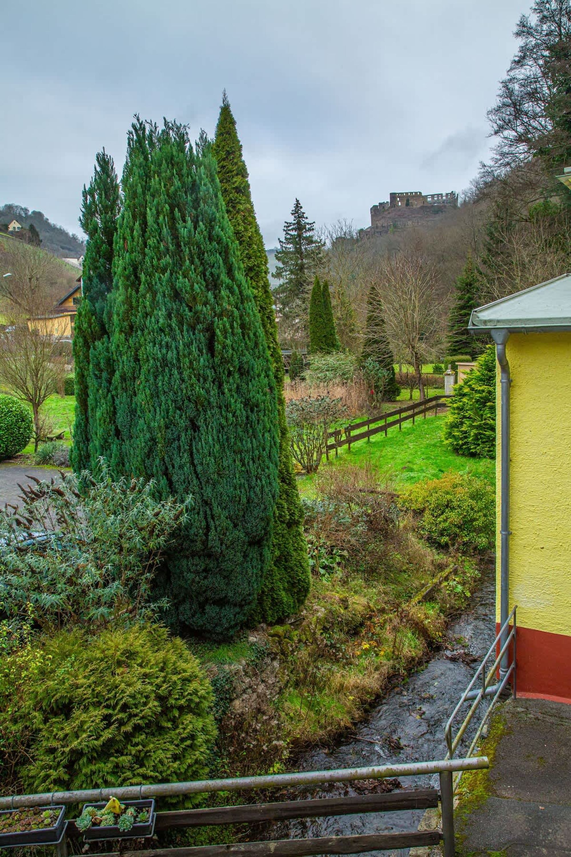 Ein Garten mit einem hohen Nadelbaum, einem Holzzaun und einem gelben Gebäude.